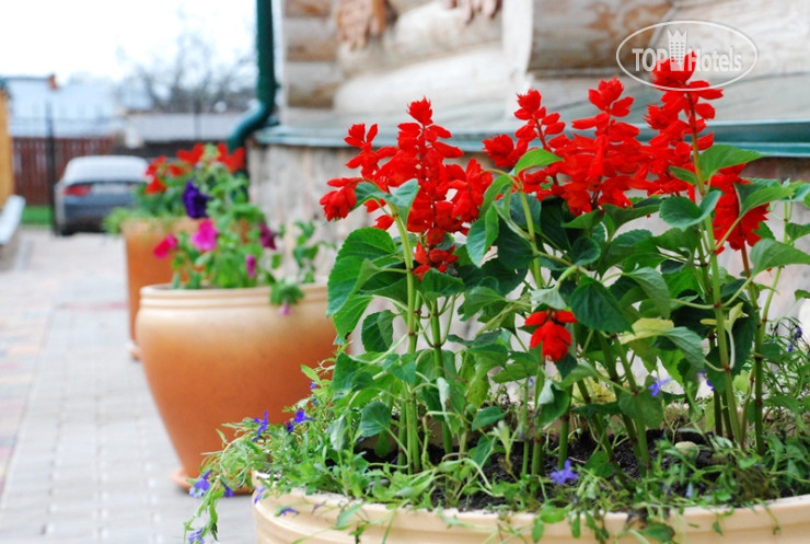 New photos from tourists Svetliy Terem Hotel