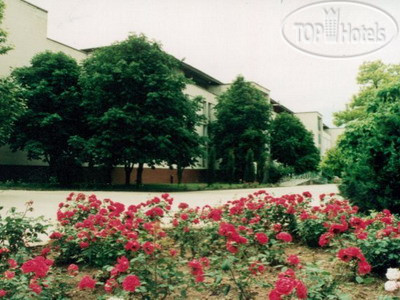 New photos from tourists Родничок