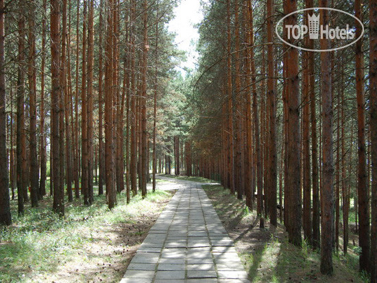 New photos from tourists Золотой Колос