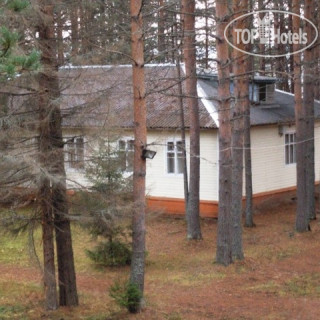 Photos Лесная сказка