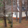 Photos Лесная сказка