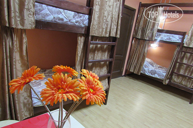 New photos from tourists My Hostel