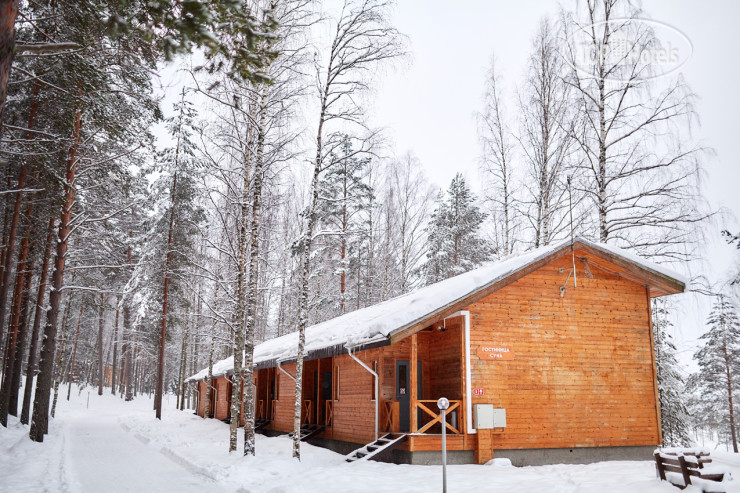 Hotelier's photos Шишки