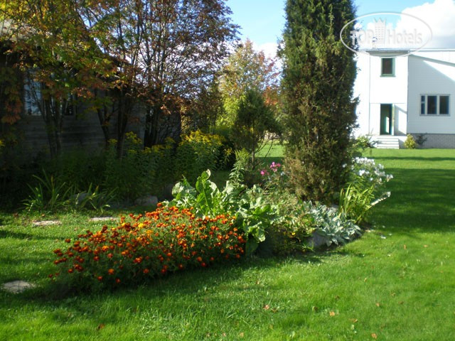 Hotel photo ILMU Vieno 