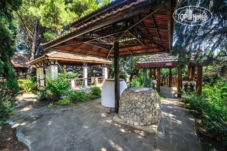 New photos from tourists Дарсан 3*