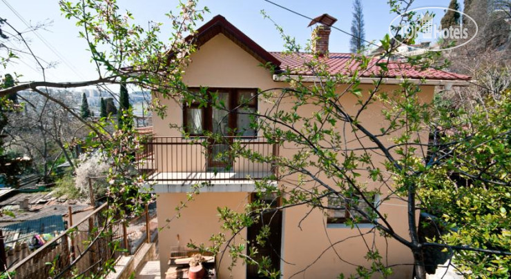 Hotelier's photos Sobaka Hostel