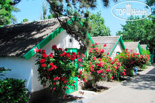 New photos from tourists Мир