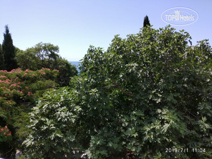 New photos from tourists TavrikaGold