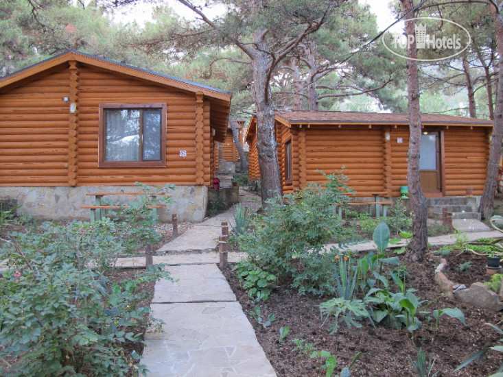 Hotelier's photos Лукоморье