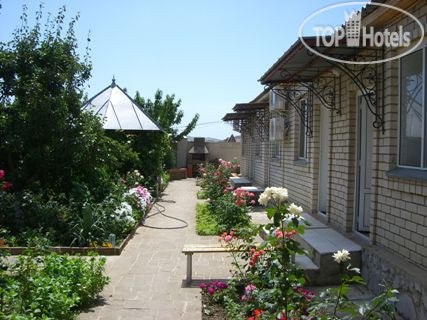 New photos from tourists Анютка
