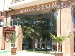 New photos from tourists Magic Palm 2*