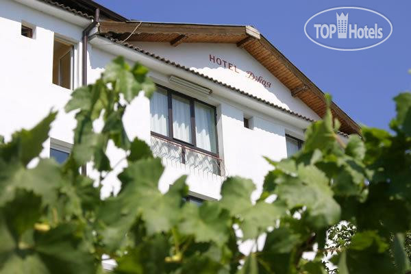 Фото Joya Family Hotel