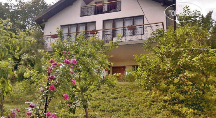 New photos from tourists Romantika Guest Rooms 1*