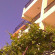 Photos Diamant Guest House