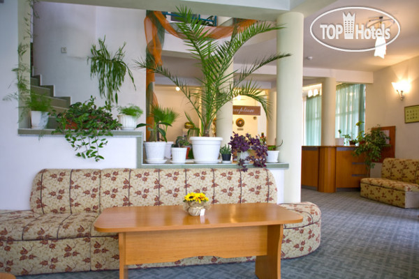 New photos from tourists Туди 3*