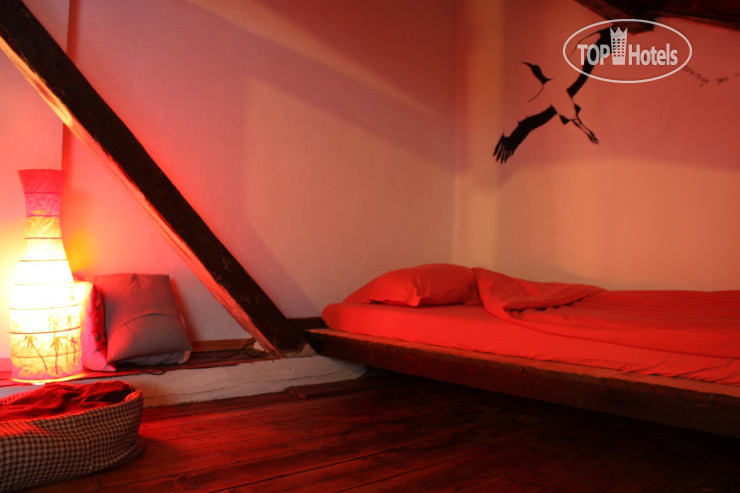 New photos from tourists Canape Connection Hostel