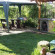 Photos Sunflowers Guest House 