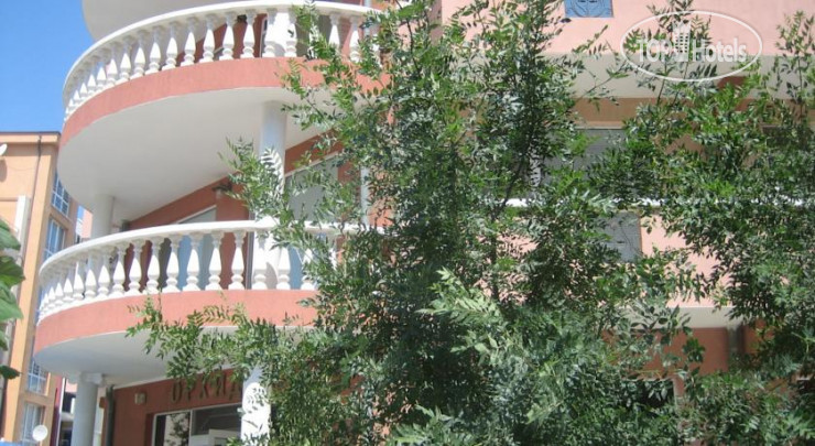 Photos Orchidea Guest House 