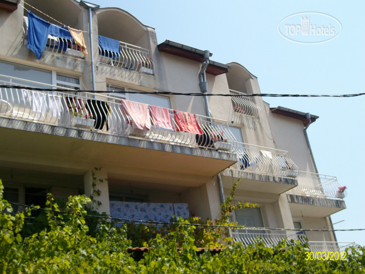Hotel photo Petkov Pansion 