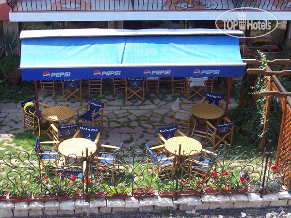 New photos from tourists Kalypso Hotel 3*