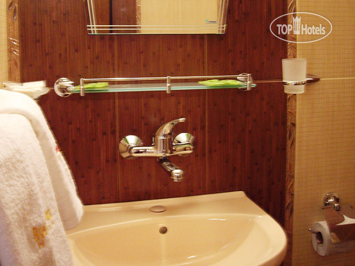 New photos from tourists Buena Vissta Hotel 3*