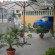 Photos Бората