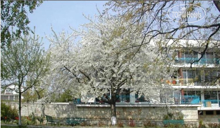 Hotel photo Zarya 2*