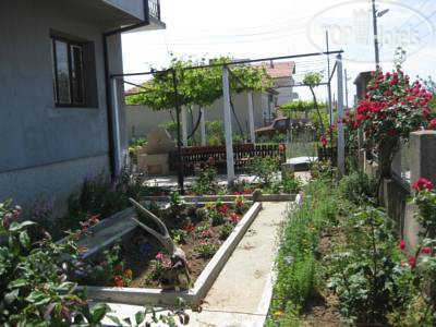 New photos from tourists Dimi Guest House