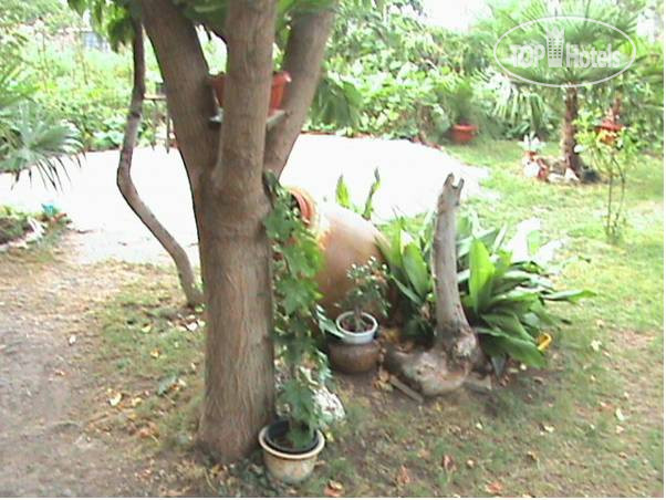 New photos from tourists Desi Guest House 2*