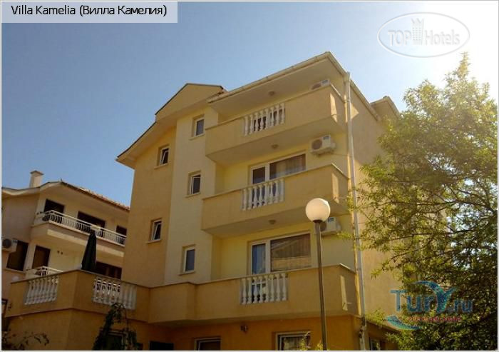 Hotel photo Вилла Камелия 3*