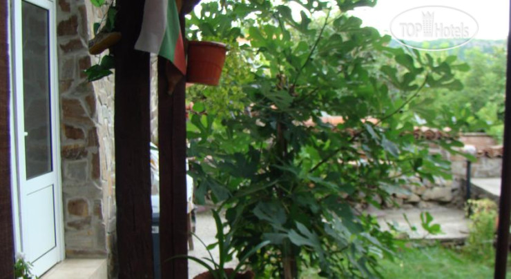 New photos from tourists Selin Guest House