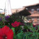 Photos Trayanova Guest House