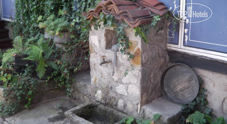New photos from tourists Darina Bed & Breakfast 2*