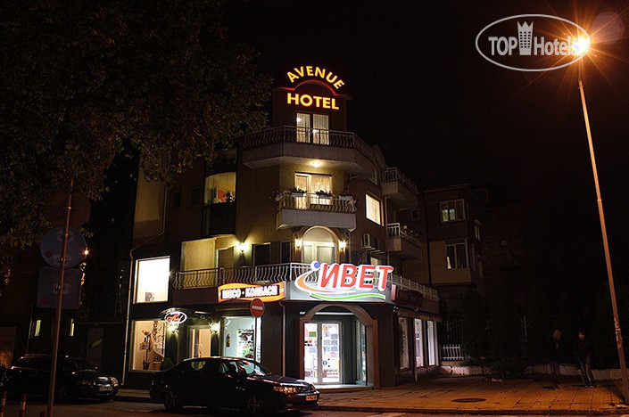 Hotel photo Avenue Hotel 3*