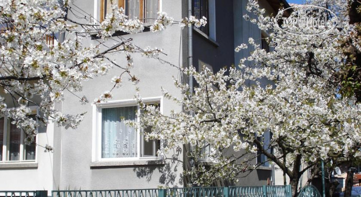 Hotel photo Minkovi Guest House  2*