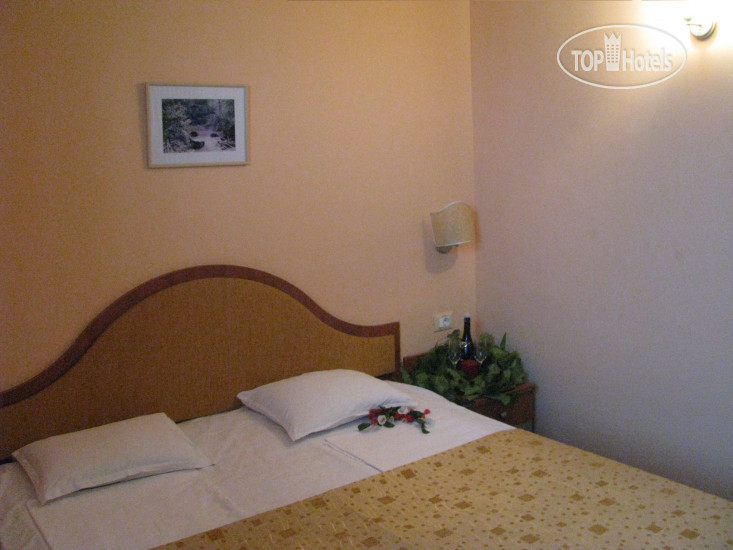 New photos from tourists Terra Europe 3*