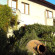 Photos Villa Elfi
