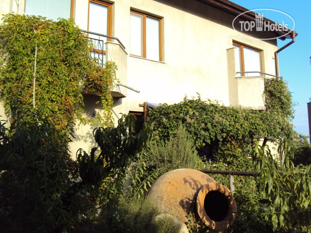 Hotelier's photos Villa Elfi 2*