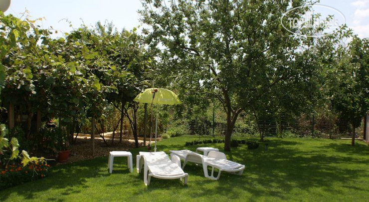 New photos from tourists Kiwi Guest House