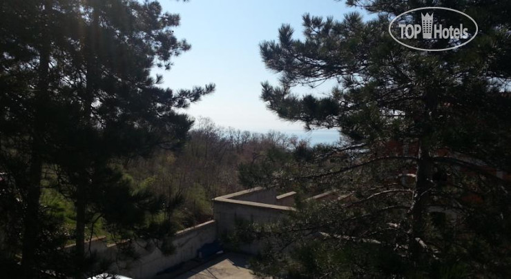 New photos from tourists Nadia Guest House