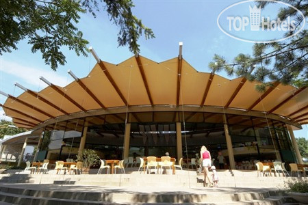 New photos from tourists Магнолия Стандарт 3*