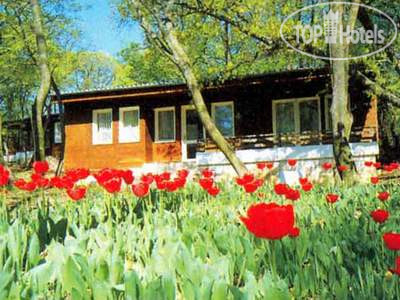 Photos Вилла Летовище