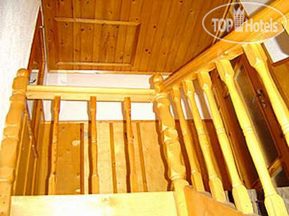 New photos from tourists Family Hotel Lazur 3*