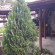Photos Zlatinchevi Guest House
