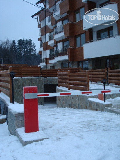 New photos from tourists Pine Trees 3*