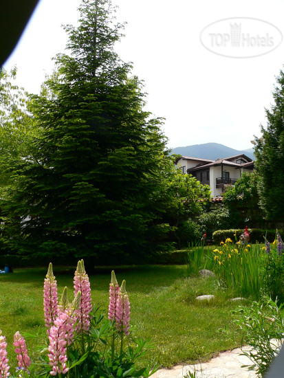 New photos from tourists Танне 4*