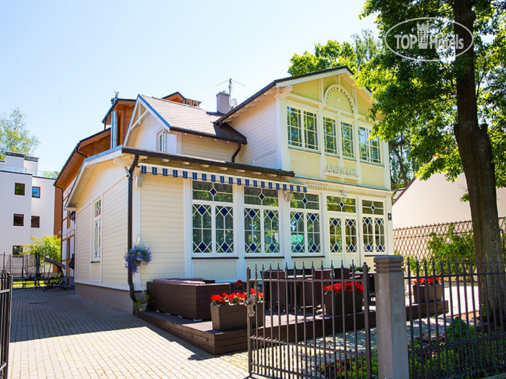 New photos from tourists Aparte Lux
