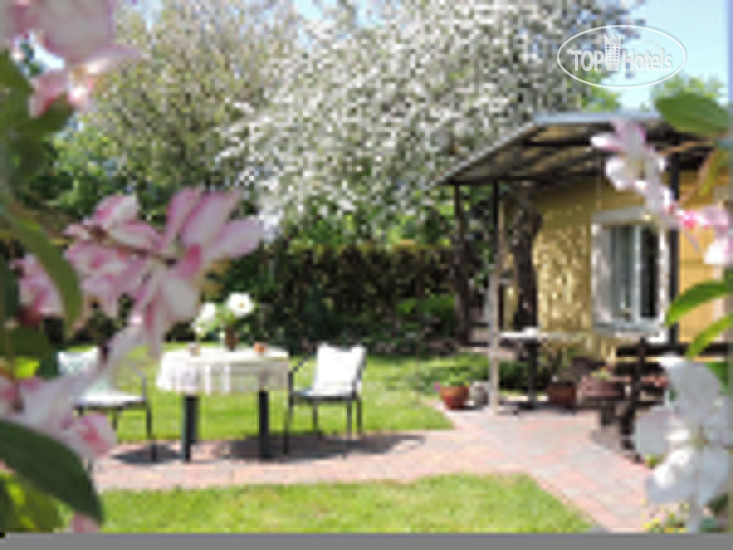 New photos from tourists Holiday House Mazie Broceni