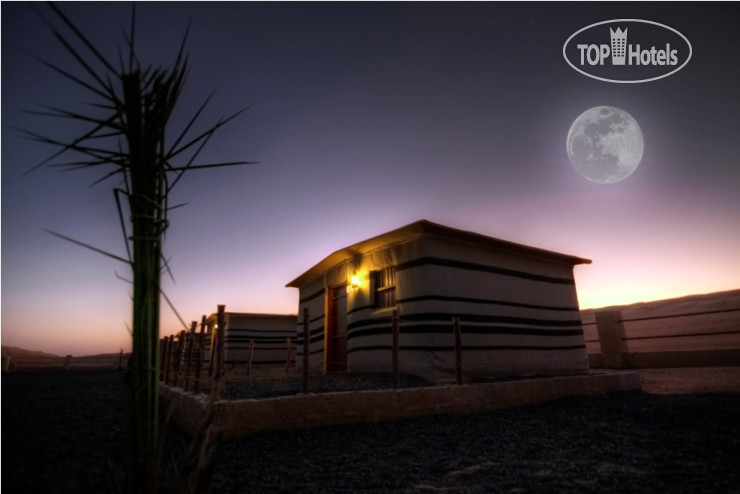 New photos from tourists Arabian Oryx Camp