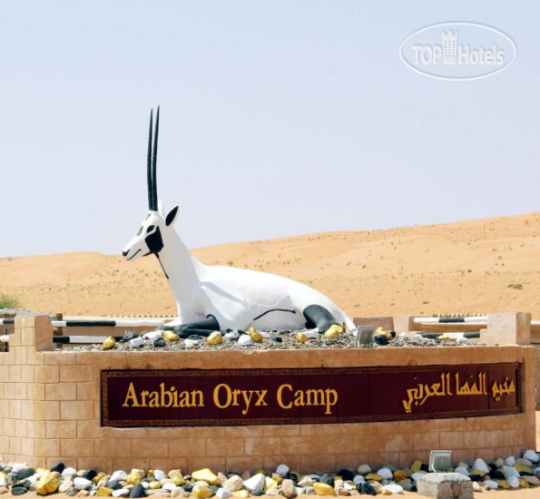 Hotel photo Arabian Oryx Camp 